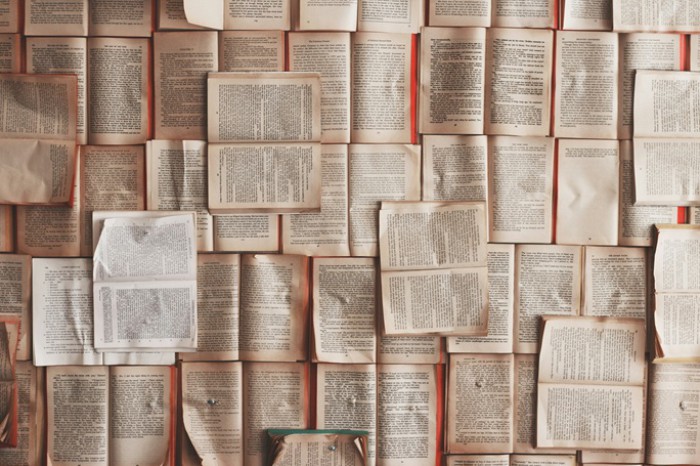 “More or less the same thing in different words“ - challenges for translators from Nuremberg