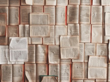 “More or less the same thing in different words“ - challenges for translators from Nuremberg
